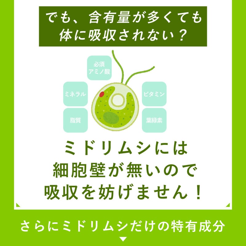 6個セット】バイオザイム ワン ユーグレナ(みどりむし) 30g