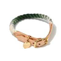 【Found My Animal /ファウンドマイアニマル】OMBRE DOG COLLAR    (オンブレドッグカラー）首輪　Oliveオリーブ