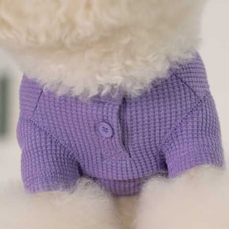 【DENTIST APPOINTMENT /デンティスト アポイントメント】Waffle Crop T-shirt /purple