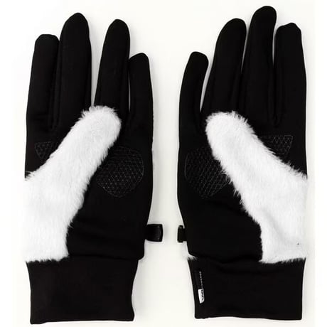 【The North Face】Denari Etip Glove  (デナリイーチップグローブ）ティングレー(TI)  NN62122