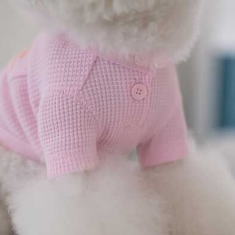 【DENTIST APPOINTMENT /デンティスト アポイントメント】Waffle Crop T-shirt /pink