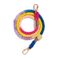 【Found My Animal /ファウンドマイアニマル】OMBRE DOG LEASH    (オンブレドッグリード）Light prismatic