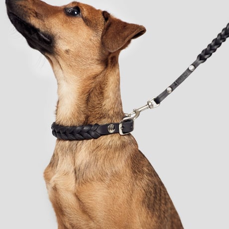 【Cloud7/クラウド7】DOG Collar Central Park (レザーカラー）Lサイズ-Black