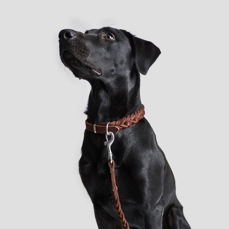 Cloud7/クラウド7】Dog Leash Central Park (ドッグリード）Lサ