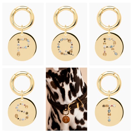 【PDPAOLA 】LETTER PET CHARM  (レターペットチャーム）