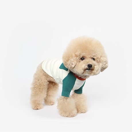 【TUSTUS】colorblock raglan (green)