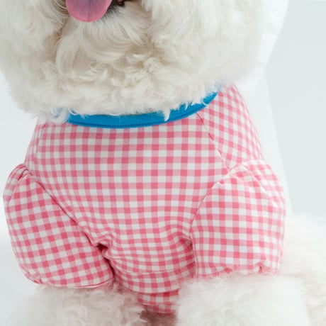 【DENTIST APPOINTMENT /デンティスト アポイントメント】Gingham chekc puff t-shirt / pink