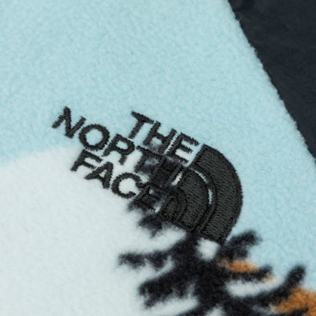 【The North Face】T MIC FLEECE CREW (トドラーマイクロフリースクルー（ベビー）(B)ブルー NAT72431