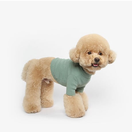【TUSTUS】[DOG] crop-turtleneck (green)
