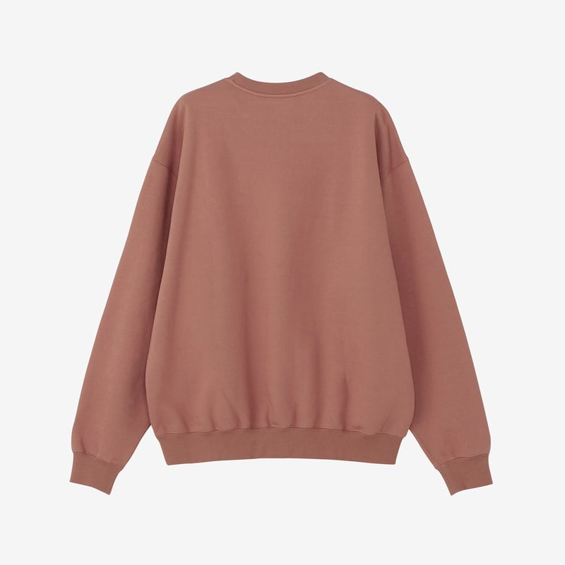 The North Face】Rock Steady Crew (ロックステディクルー（ユニ