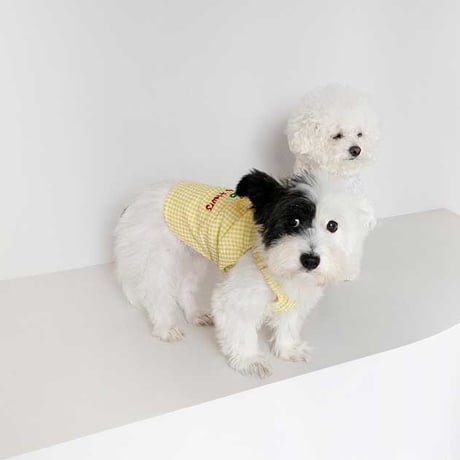 【cote a cote】SUMMER VACATION BLOUSE (YELLOW)