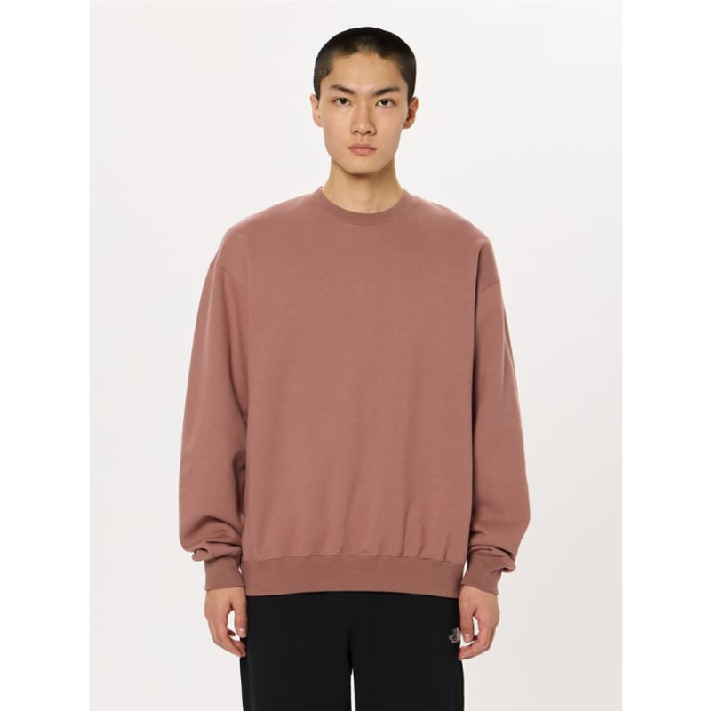 The North Face】Rock Steady Crew (ロックステディクルー（ユニ