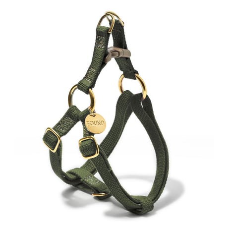 【Found My Animal /ファウンドマイアニマル】OMBRE DOG LEASH    (オンブレドッグリード）CATSKILL キャットスキル