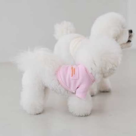 【DENTIST APPOINTMENT /デンティスト アポイントメント】Waffle Crop T-shirt /pink