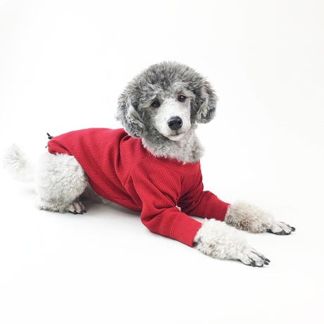 【HAINU/ハイヌ】L/S THERMAL TEE (ロングスリーブサーマル）/ red/black