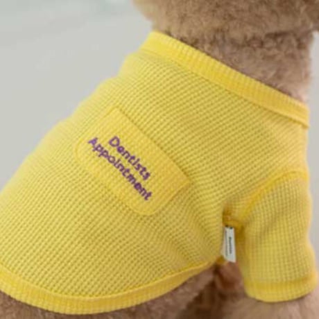【DENTIST APPOINTMENT /デンティスト アポイントメント】Waffle Crop T-shirt yellow