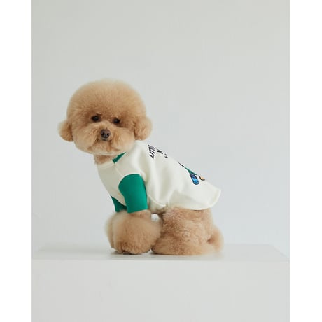 【DENTIST APPOINTMENT /デンティスト アポイントメント】Mr.Men Little Miss Sweatshirt-Little Miss Neat