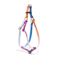 【Found My Animal /ファウンドマイアニマル】DOG HARNESS   (ドッグハーネス）Loisロイス