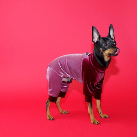【PEGION/ペギオン】BICOLOR STRETCH VELOR ROMPERS (バイカラーストレッチベロアロンパース） red/navy