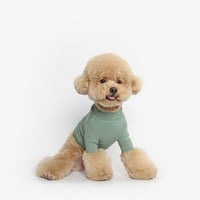 【TUSTUS】[DOG] crop-turtleneck (green)