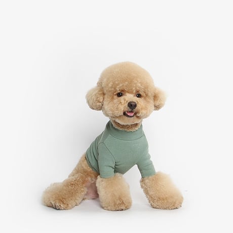 【TUSTUS】[DOG] crop-turtleneck (green)