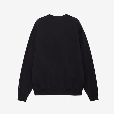 【The North Face】Rock Steady Crew (ロックステディクルー（ユニセックス））ブラック(K) NT62461
