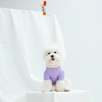 【DENTIST APPOINTMENT /デンティスト アポイントメント】Gingham chekc puff t-shirt / purple