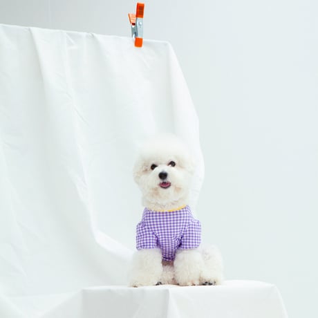 【DENTIST APPOINTMENT /デンティスト アポイントメント】Gingham chekc puff t-shirt / purple