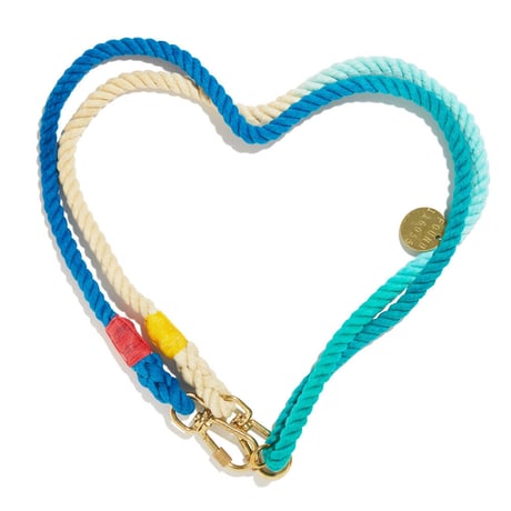 【Found My Animal /ファウンドマイアニマル】OMBRE DOG COLLAR    (オンブレドッグカラー）首輪　Henri ヘンリ