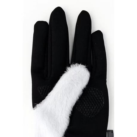 【The North Face】Denari Etip Glove  (デナリイーチップグローブ）ティングレー(TI)  NN62122