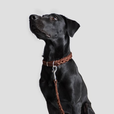 【Cloud7/クラウド7】DOG Collar Central Park (レザーカラー）Lサイズ-Brown