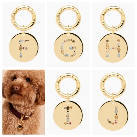 【PDPAOLA 】LETTER PET CHARM  (レターペットチャーム）