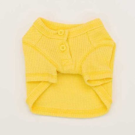 【DENTIST APPOINTMENT /デンティスト アポイントメント】Waffle Crop T-shirt yellow