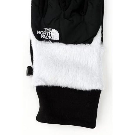【The North Face】Denari Etip Glove  (デナリイーチップグローブ）ティングレー(TI)  NN62122