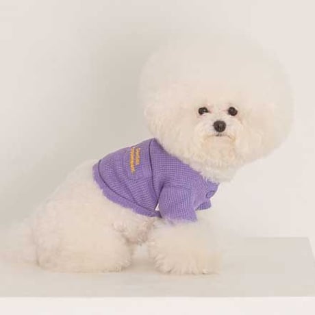 【DENTIST APPOINTMENT /デンティスト アポイントメント】Waffle Crop T-shirt /purple