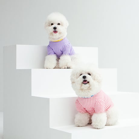 【DENTIST APPOINTMENT /デンティスト アポイントメント】Gingham chekc puff t-shirt / purple