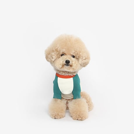 【TUSTUS】colorblock raglan (green)
