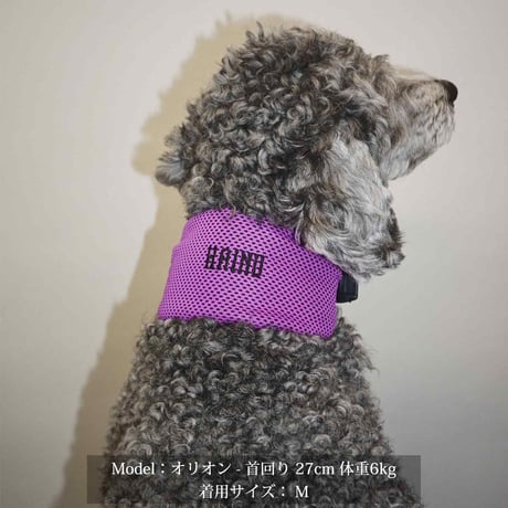 【PEGION/ペギオン】COOL NECK BAND/ COOL NECK BAND-3color-M