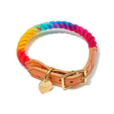【Found My Animal /ファウンドマイアニマル】OMBRE DOG COLLAR    (オンブレドッグカラー）首輪　prismatic