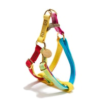【Found My Animal /ファウンドマイアニマル】DOG HARNESS   (ドッグハーネス）Prismatic