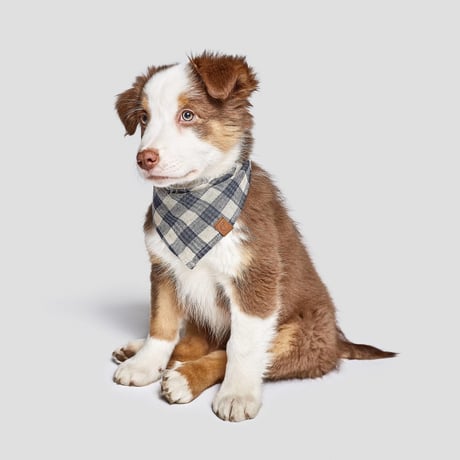 【Cloud7/クラウド7】Bandana Check  (バンダナチェック）Sサイズ-Browncheck/Bluecheck/Greencheck