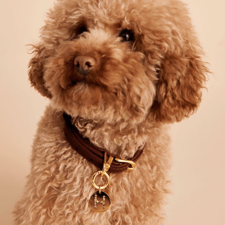 【PDPAOLA 】LETTER PET CHARM  (レターペットチャーム）