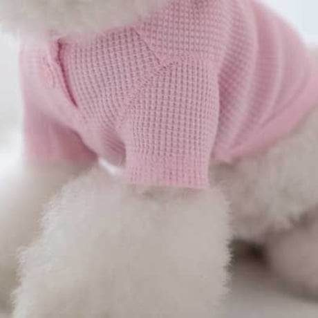 【DENTIST APPOINTMENT /デンティスト アポイントメント】Waffle Crop T-shirt /pink