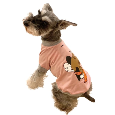 【HAINU ハイヌ】My base T-shirts for Dog  (マイベースティー）blue/pink