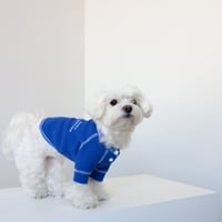 【DENTIST APPOINTMENT /デンティスト アポイントメント】waffle pajama tee（ワッフルパジャマティー）-blue