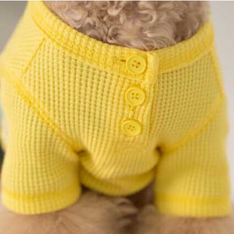 【DENTIST APPOINTMENT /デンティスト アポイントメント】Waffle Crop T-shirt yellow