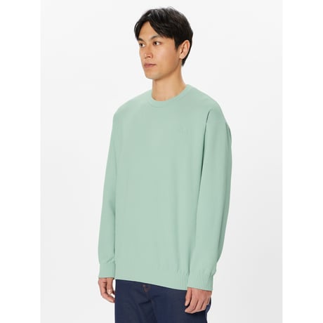【The North Face】RallyOn Rock Crew (ラリーオンロッククルー）ミューテッドパイン(MT) NL72102