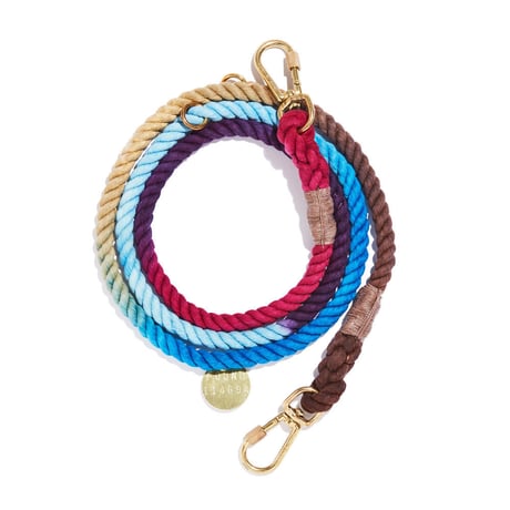 【Found My Animal /ファウンドマイアニマル】OMBRE DOG COLLAR    (オンブレドッグカラー）首輪　Loisロイス