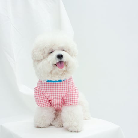 【DENTIST APPOINTMENT /デンティスト アポイントメント】Gingham chekc puff t-shirt / pink