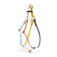 【Found My Animal /ファウンドマイアニマル】DOG HARNESS   (ドッグハーネス）CLAUDE